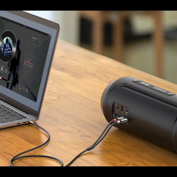 UGREEN 3.5mm to RCA Cable /AV116